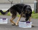 20260718-nskc-0327