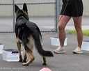 20260718-nskc-0329