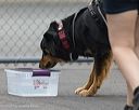20260718-nskc-0331