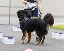 20260718-nskc-0335