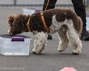 20260718-nskc-0343