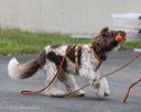 20260718-nskc-0347