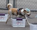 20260718-nskc-0353