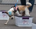 20260718-nskc-0355
