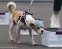 20260718-nskc-0356