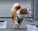 20260718-nskc-0373