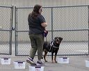20260718-nskc-0381
