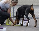 20260718-nskc-0393