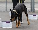 20260718-nskc-0396