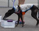20260718-nskc-0410