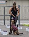 20260718-nskc-0415