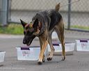 20260718-nskc-0420