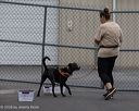 20260718-nskc-0460
