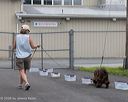20260718-nskc-0462