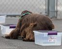 20260718-nskc-0463