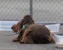 20260718-nskc-0464