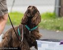 20260718-nskc-0475