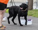 20260718-nskc-0487