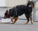 20260718-nskc-0494