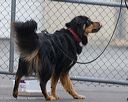 20260718-nskc-0495