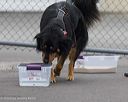 20260718-nskc-0497