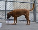 20260718-nskc-0510