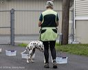 20260718-nskc-0515