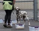 20260718-nskc-0518