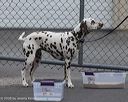 20260718-nskc-0521