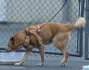 20260718-nskc-0531