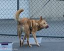 20260718-nskc-0532