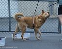 20260718-nskc-0533