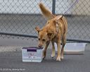 20260718-nskc-0535