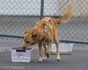 20260718-nskc-0536