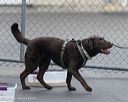 20260718-nskc-0546