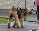 20260718-nskc-0551