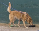 20260718-NSKC-0677