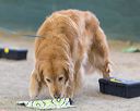 20260718-nskc-0566