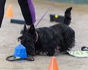 20260718-nskc-0573
