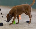 20260718-nskc-0581