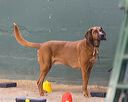 20260718-nskc-0584