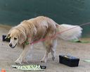 20260718-nskc-0590