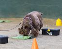 20260718-nskc-0596