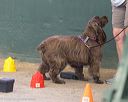 20260718-nskc-0598