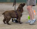 20260718-nskc-0601