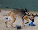 20260718-nskc-0616