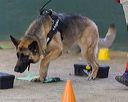 20260718-nskc-0623