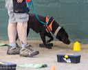 20260718-nskc-0625