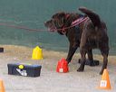 20260718-nskc-0633