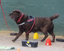 20260718-nskc-0634